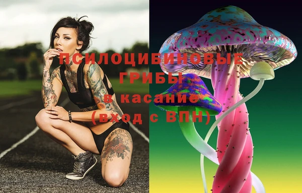 ECSTASY Абинск