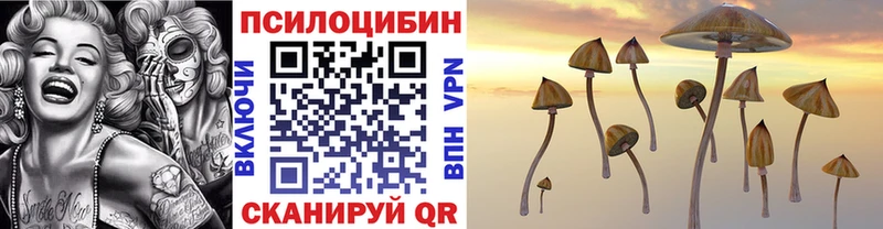 Галлюциногенные грибы мицелий Юхнов