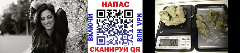 магазин продажи наркотиков  OMG   Каннабис сатива  Юхнов 
